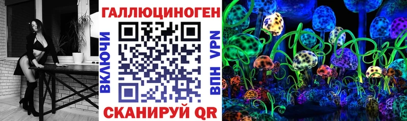 где продают   Бердск  Псилоцибиновые грибы GOLDEN TEACHER 
