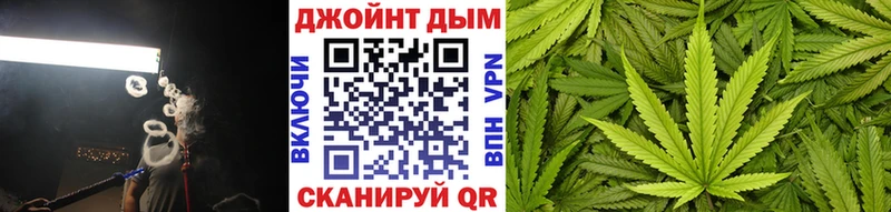 kraken зеркало Бердск Марихуана семена